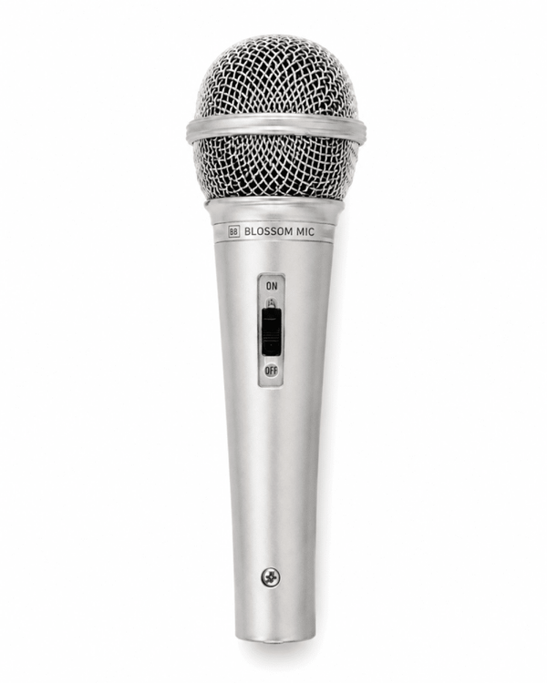 Silver Pop Star Microphone