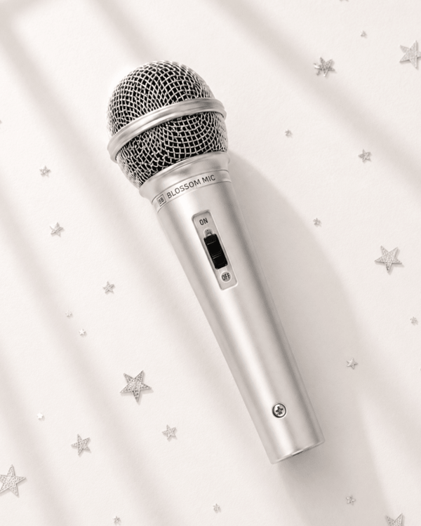 Silver Pop Star Microphone
